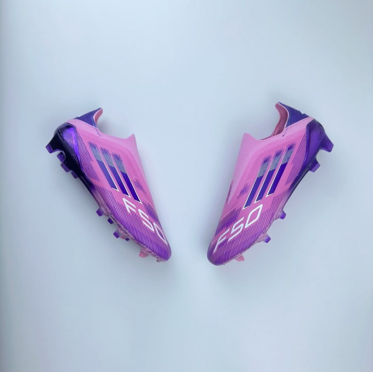 F50 🦁